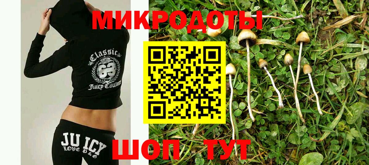 Псилоцибиновые грибы мицелий  Вход с VPN  Шелехов 