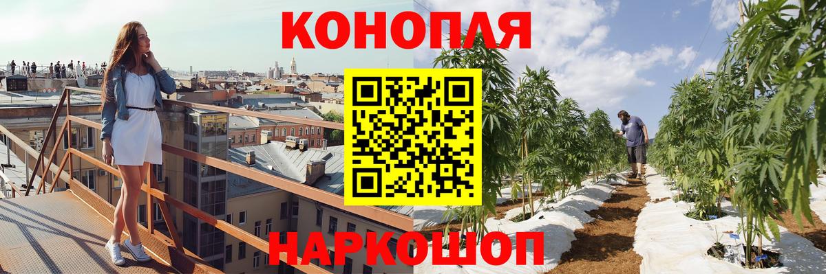 Шелехов  МАРИХУАНА сатива  Шишки марихуана планчик  Вход с VPN 